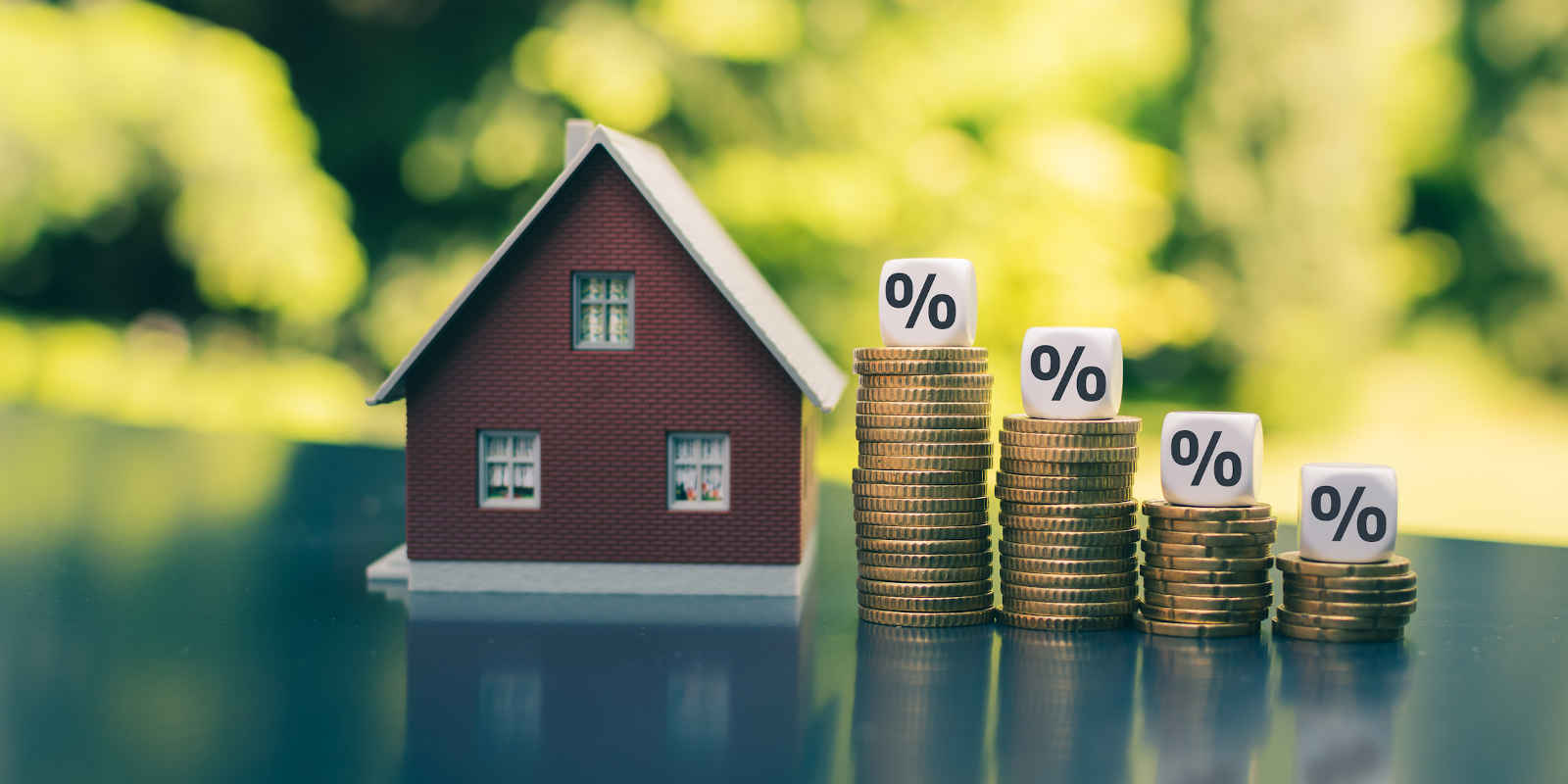 Reverse Mortgage